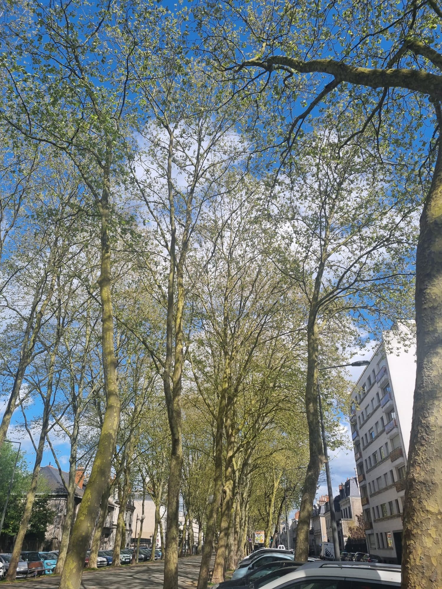idéalement situé à Tours