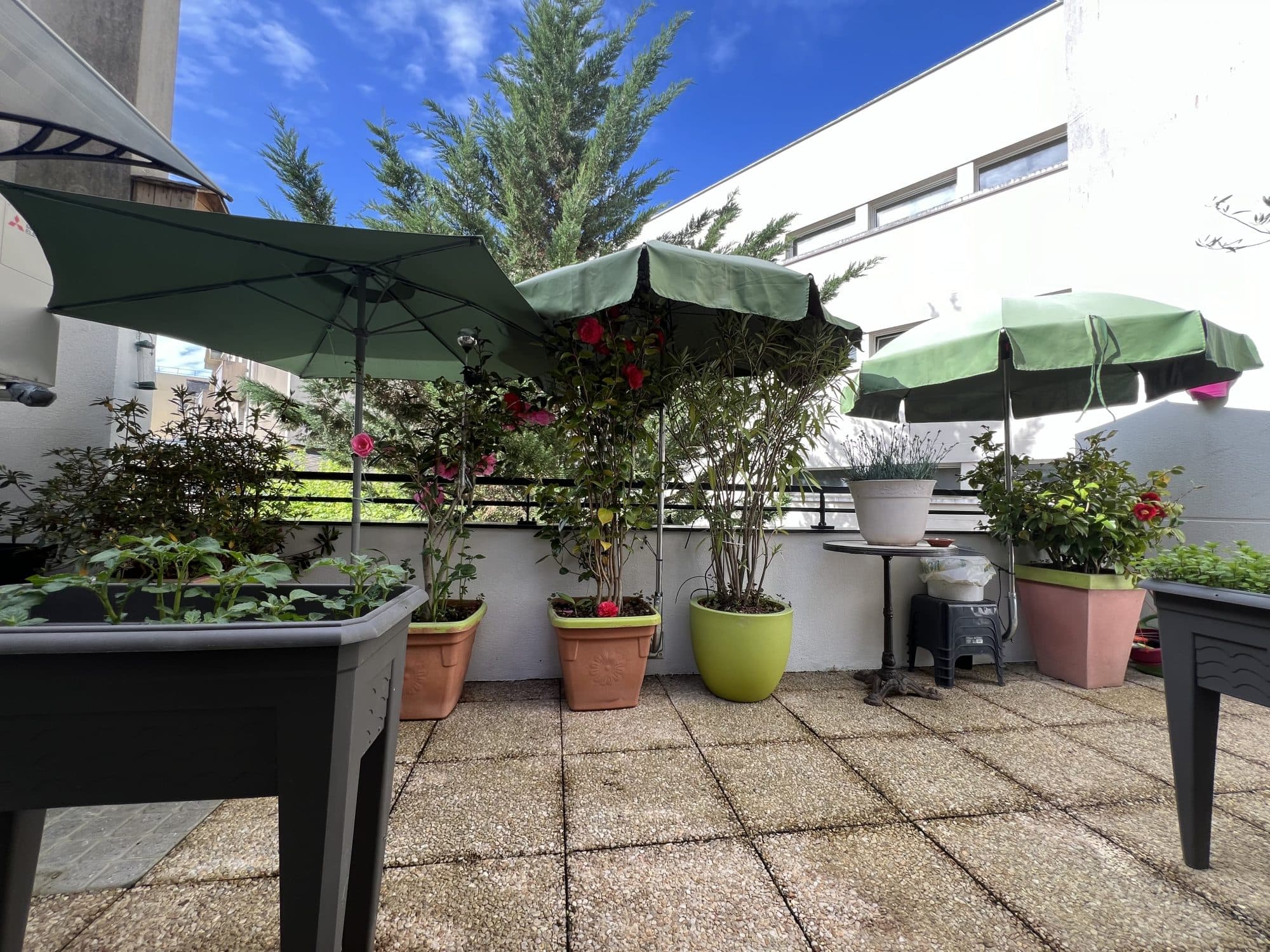 APPARTEMENT SPACIEUX ET LUMINEUX — photo 2