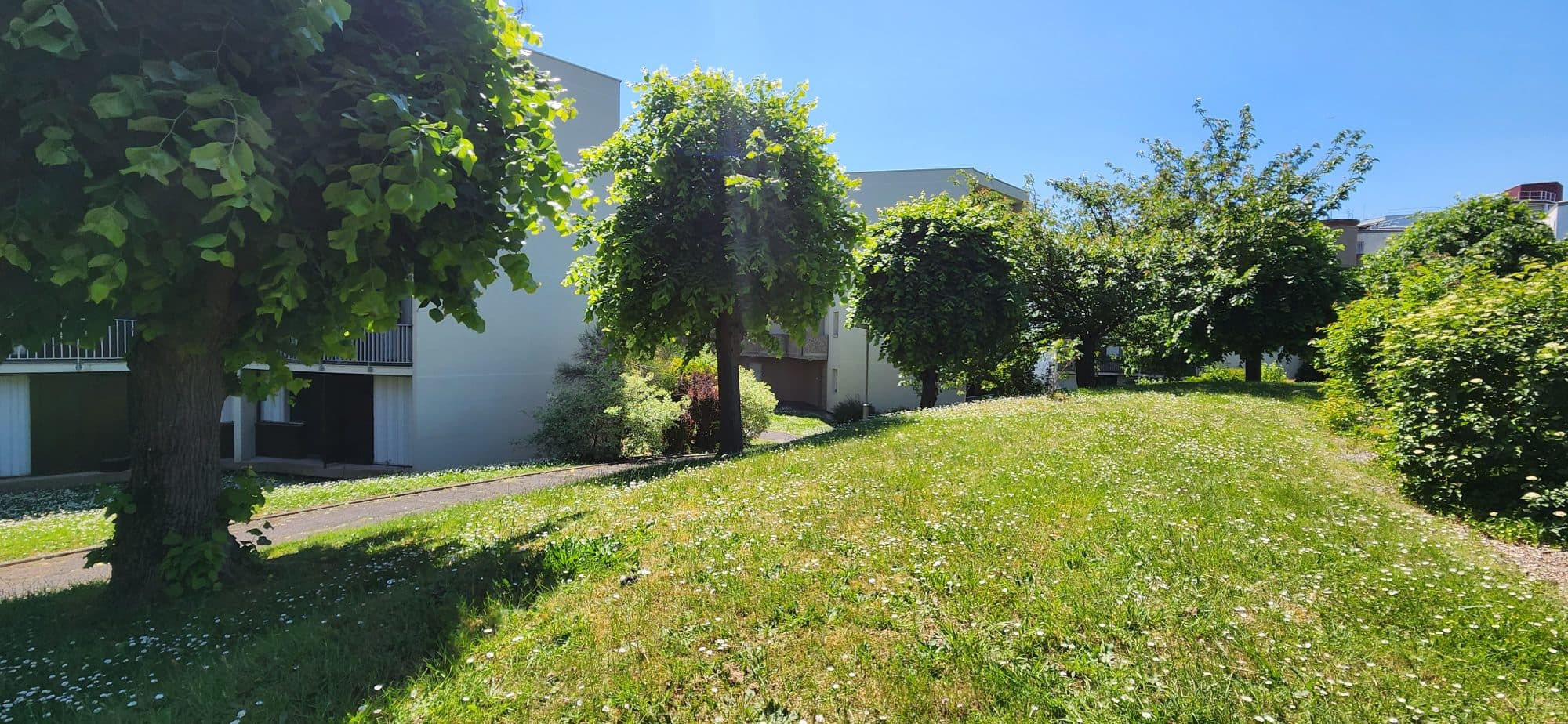 Appartrement T3 RDC avec cave et parking — photo 2