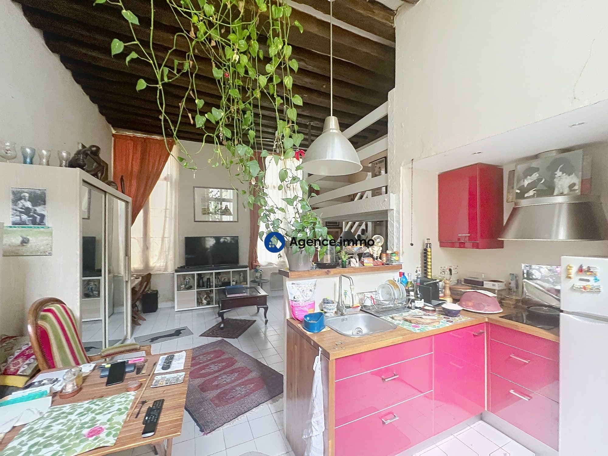 APPARTEMENT – RUE PAUL LOUIS COURIER – TOURS — photo 3