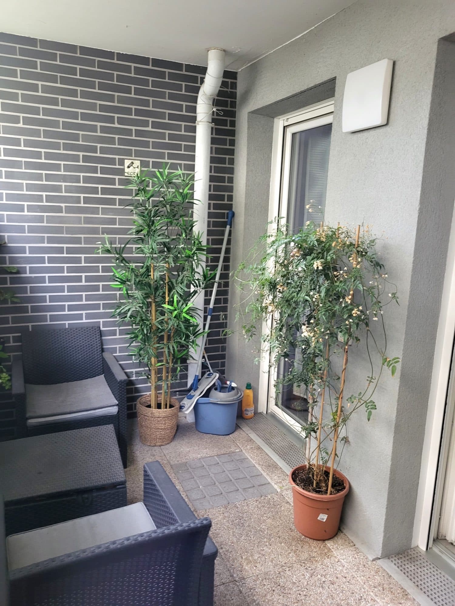 Appartement — photo 2