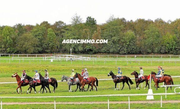 CENTRE EQUESTRE, ÉCURIE, HARAS