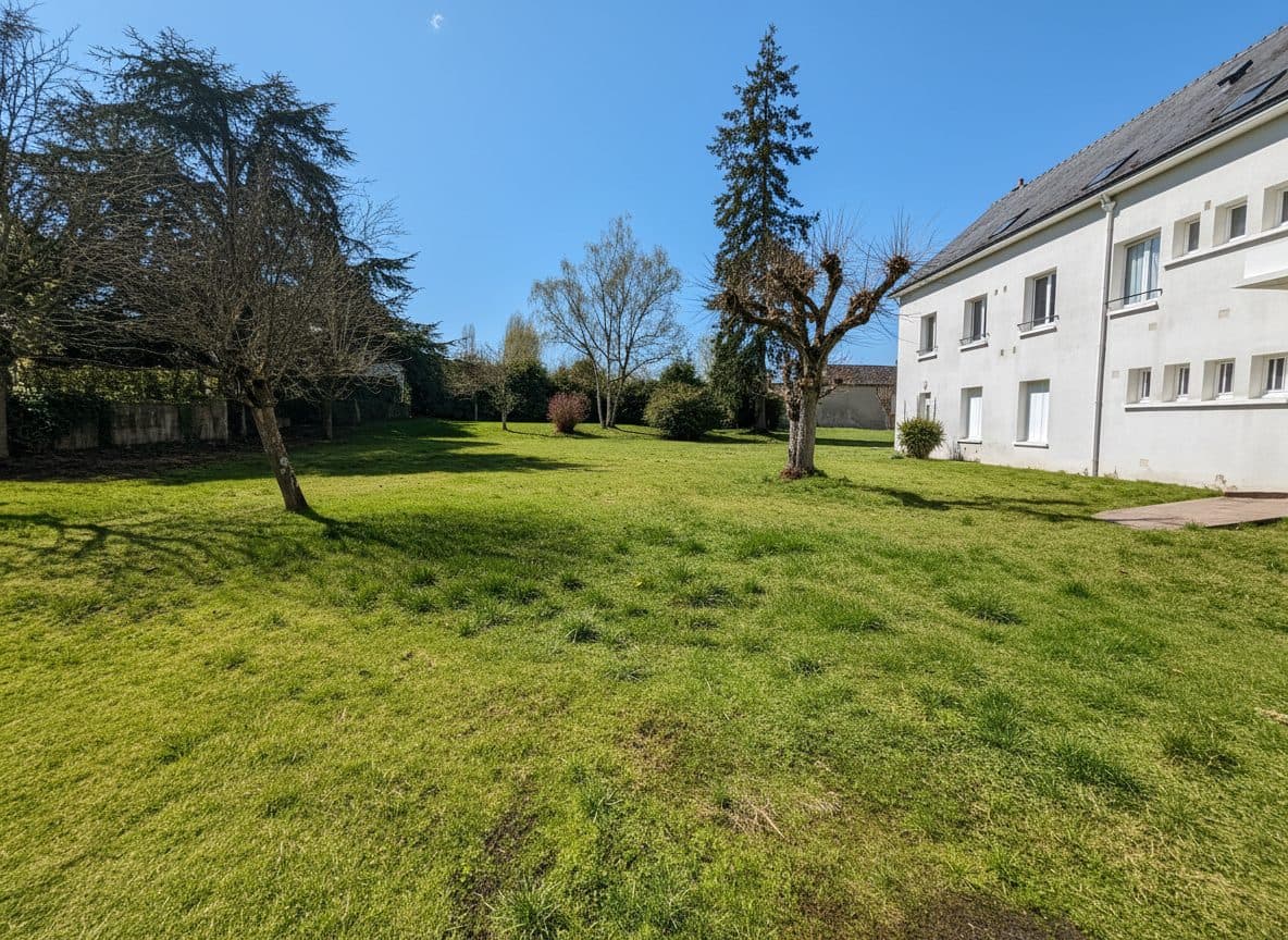 immeuble 486m² — photo 3