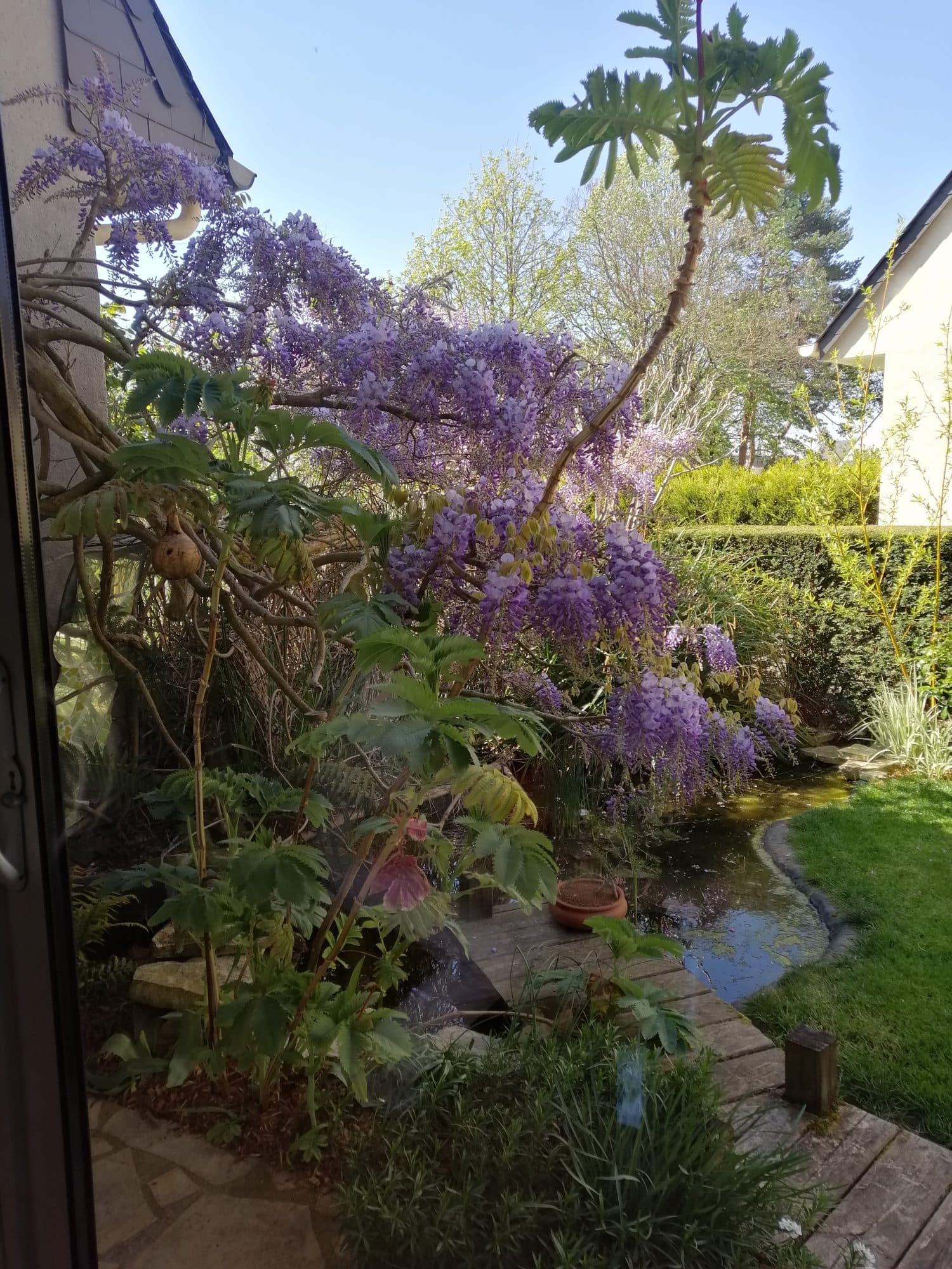 Maison avec jardin Fondettes — photo 3