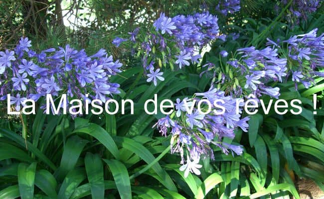 Exceptionnelle contemporaine