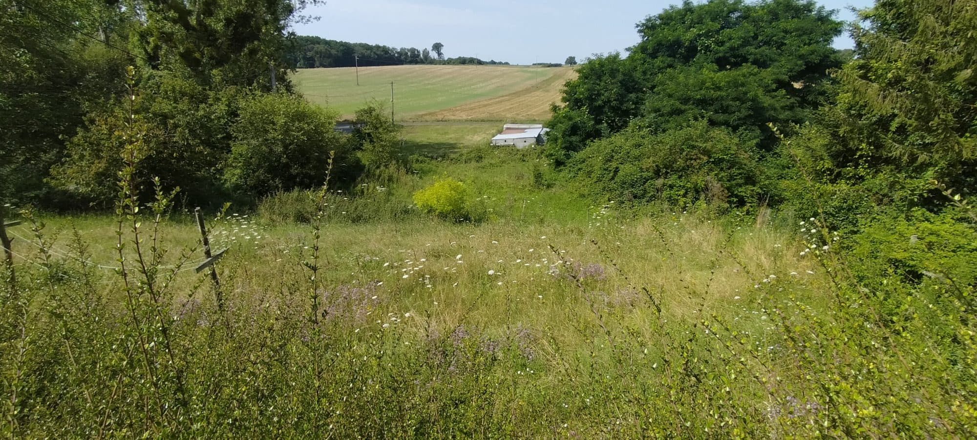 maison de campagne — photo 2