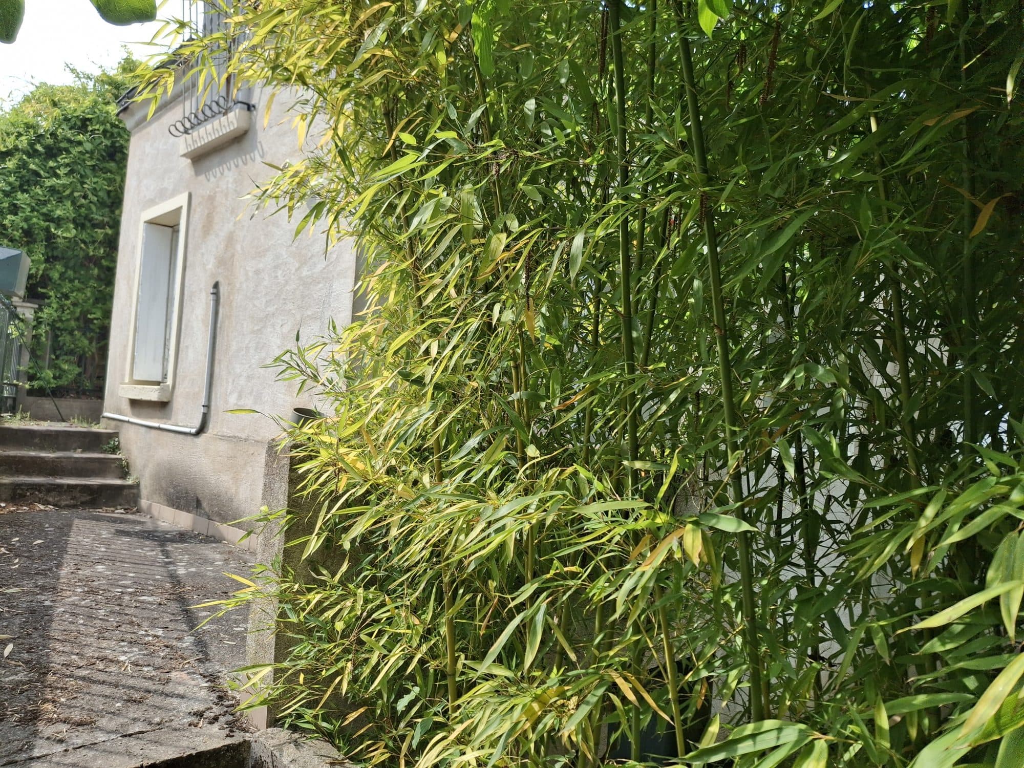 Maison 73 m² à Montlouis-sur-Loire — photo 2