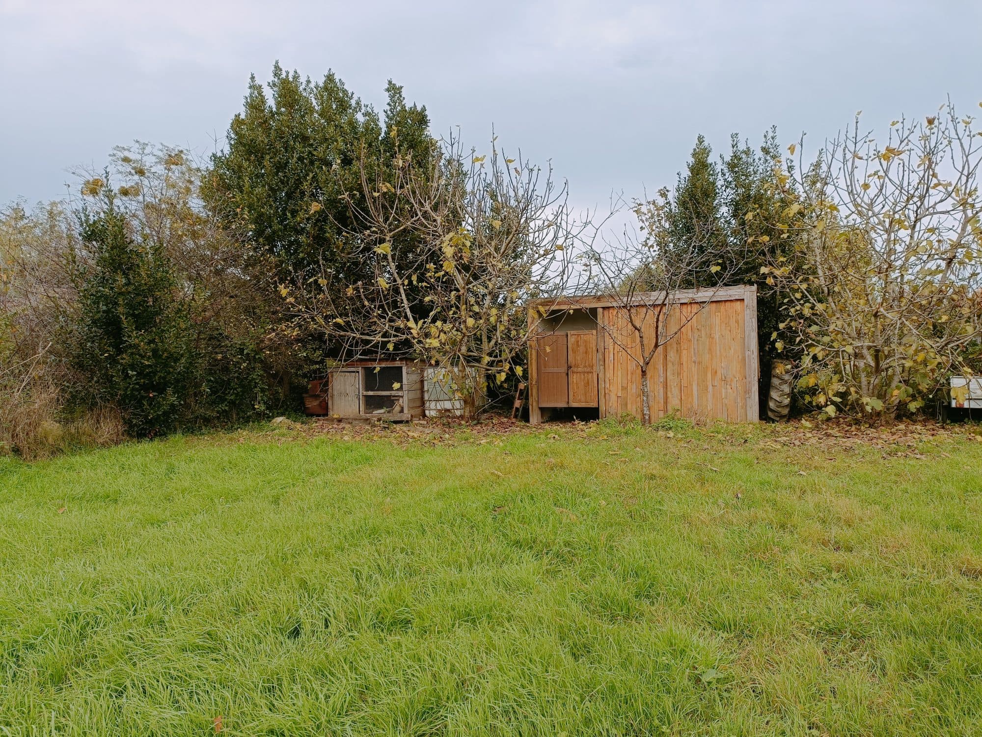 Maison 62 m² à Montlouis-sur-Loire — photo 3