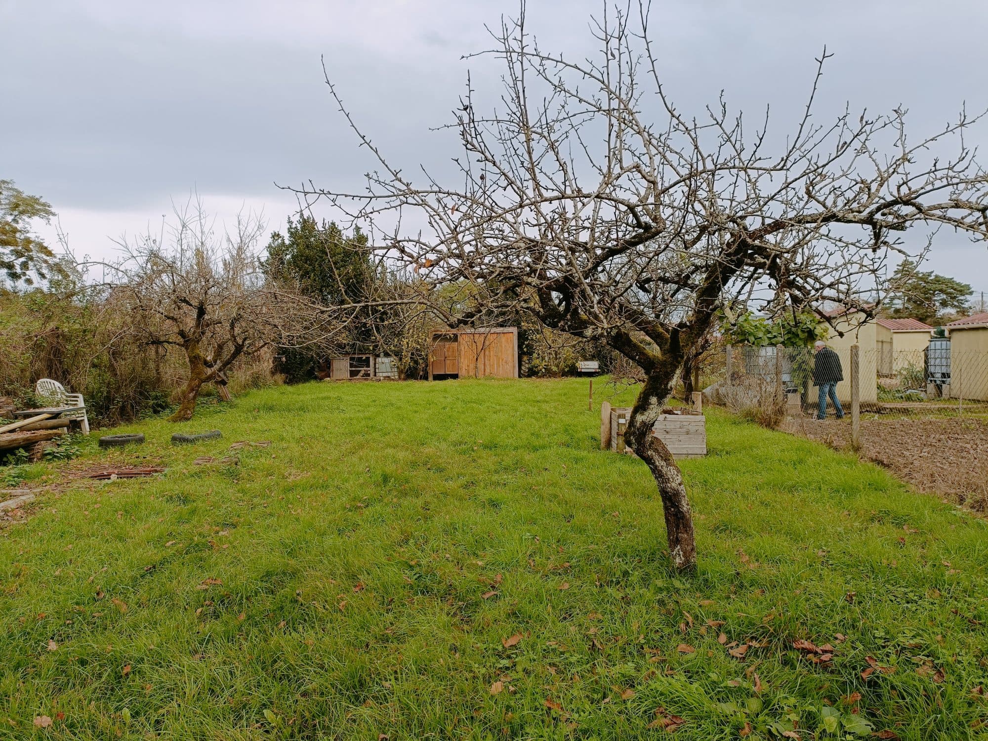 Maison 62 m² à Montlouis-sur-Loire — photo 2