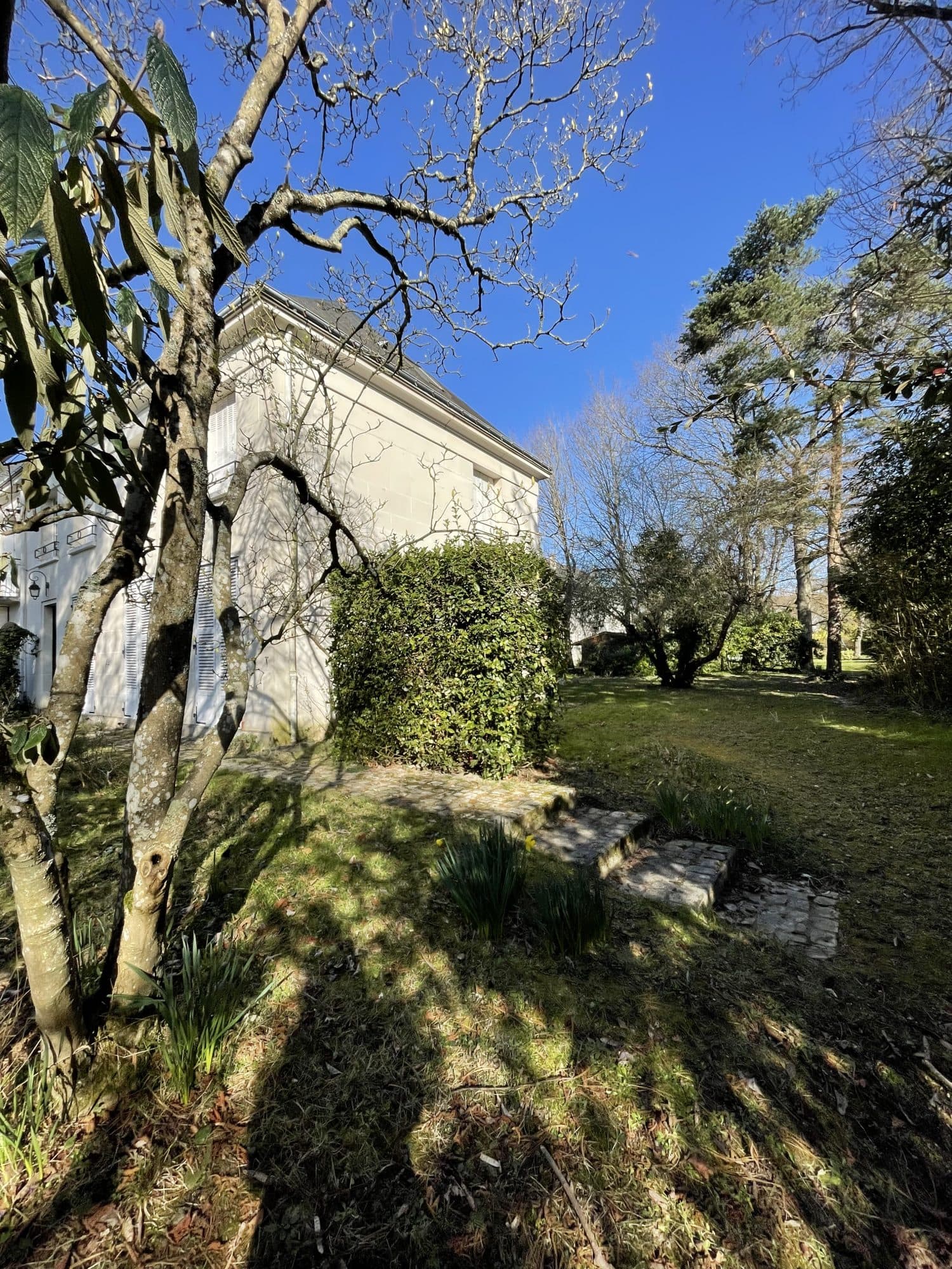 Maison 5 chambres avec jardin — photo 2