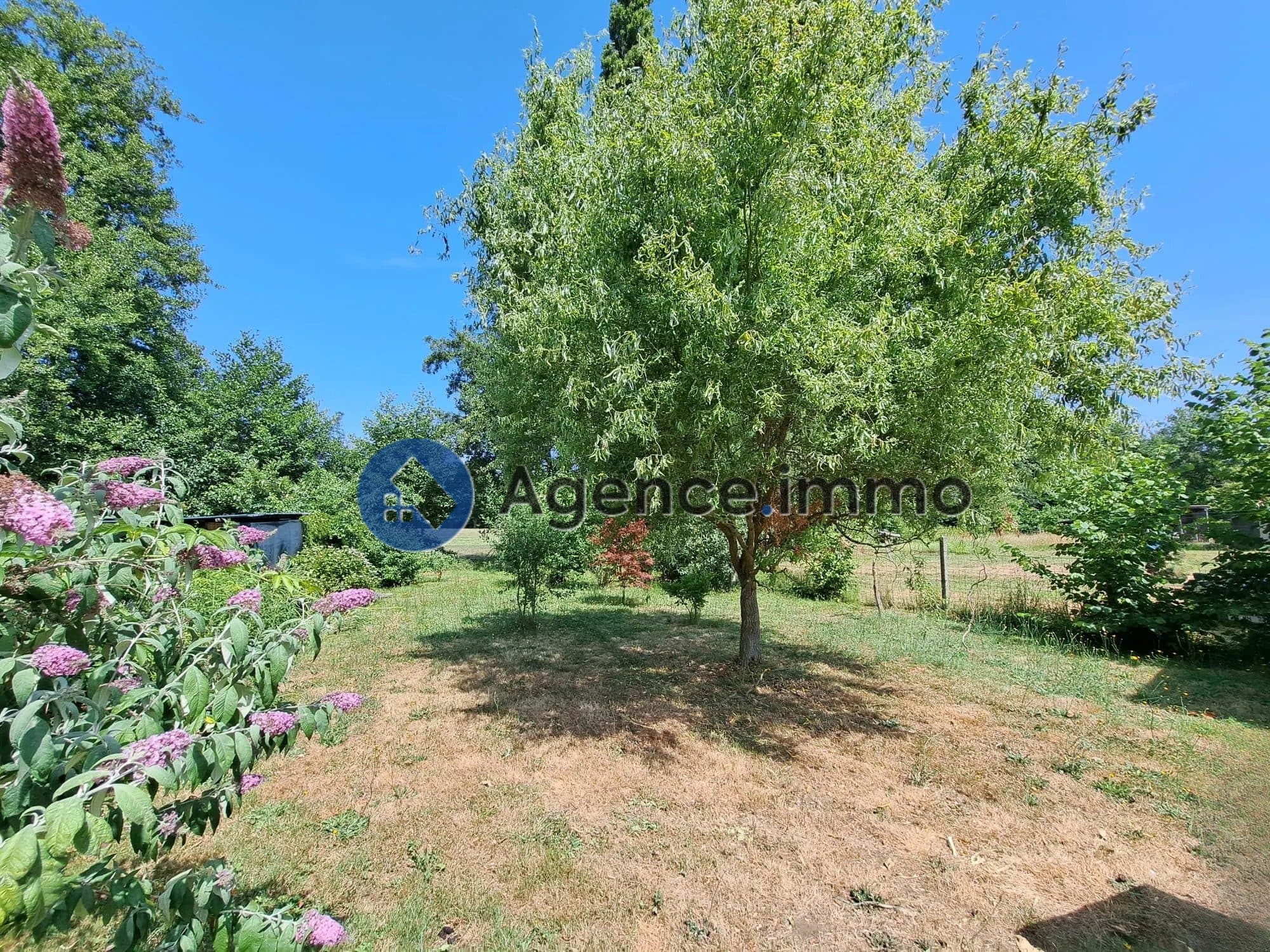maison 3 chambres avec jardin — photo 2