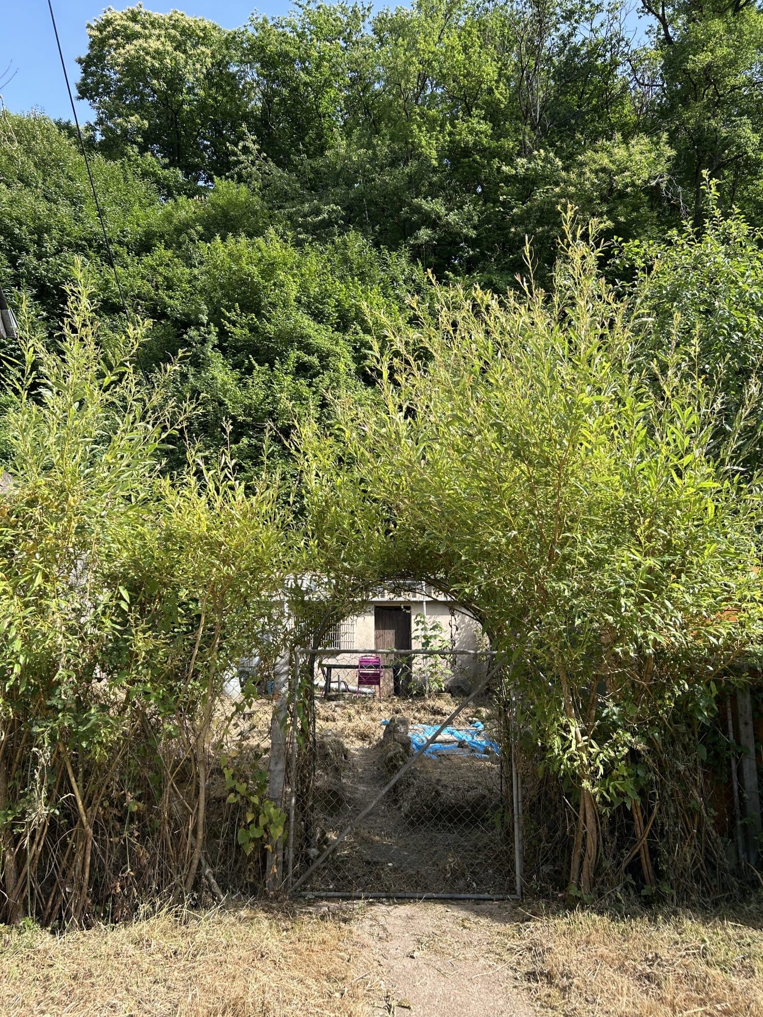 Cave ferstive avec jardin — photo 2