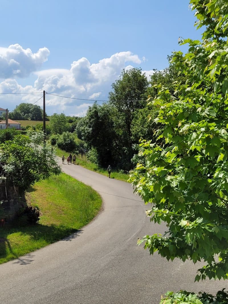 Maison 225 m² à Larribar-Sorhapuru — photo 2