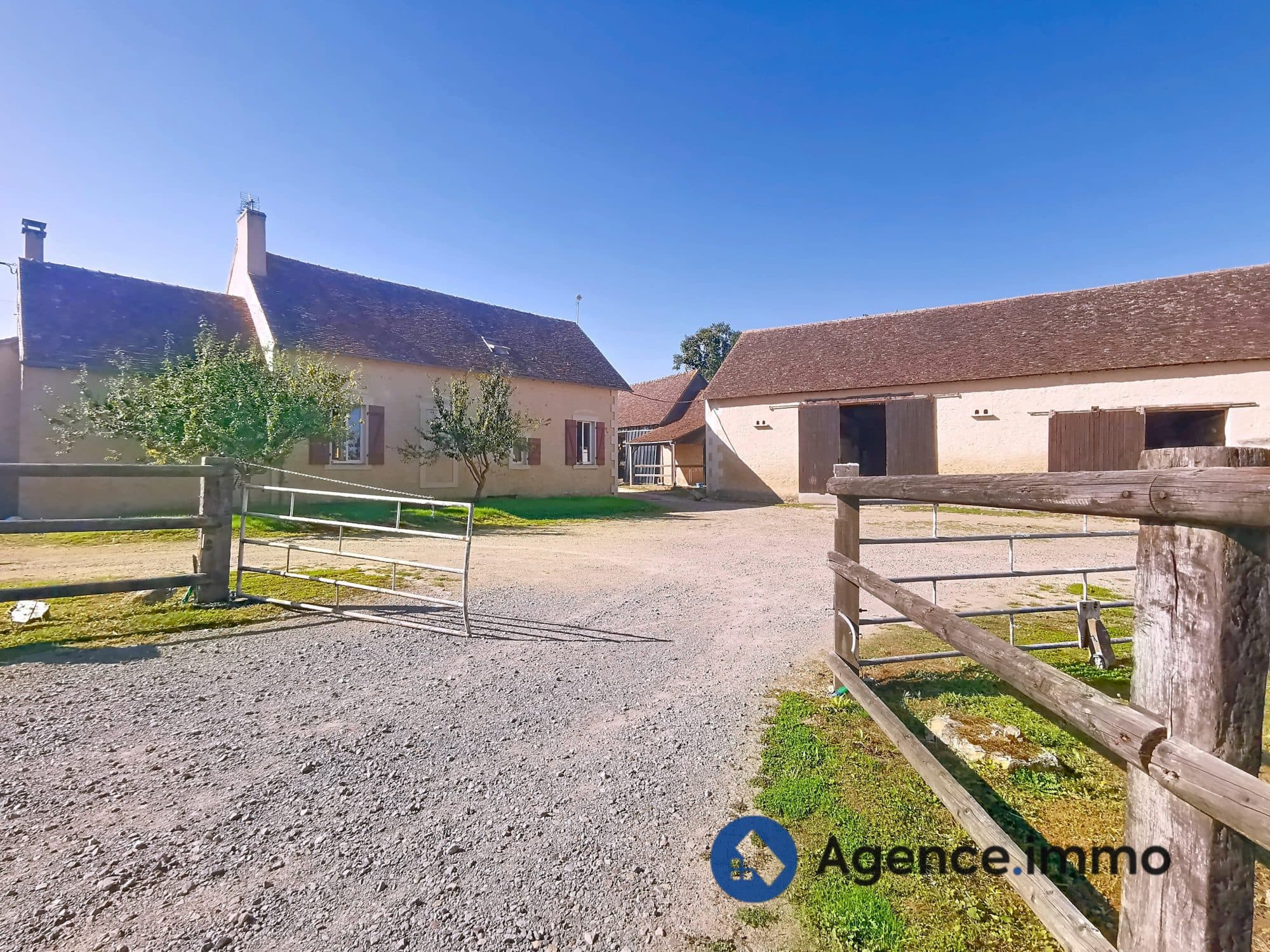 Haras pour chevaux de courses — photo 3