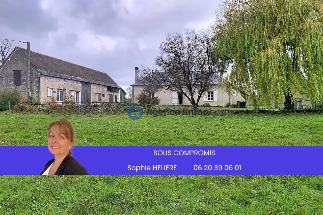 Ensemble immobilier de charme à Chateau La Vallière