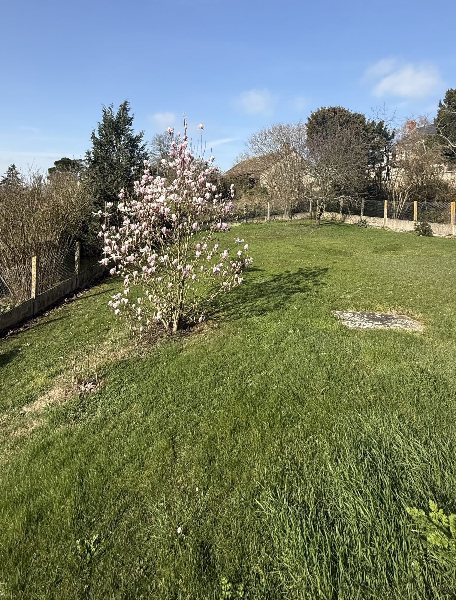 Maison 82 m² à Sougé — photo 3