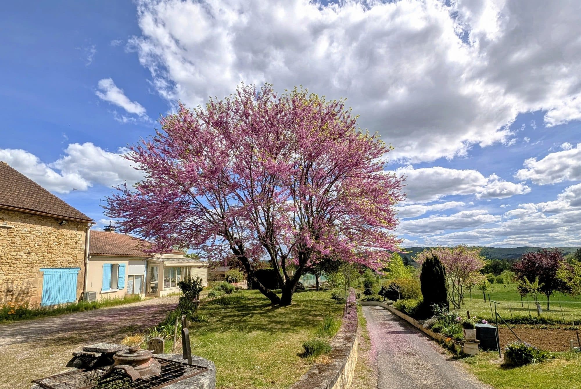 Domaine avec 2 maisons indépendantes - 5 ha - vue panoramique - Potentiel locatif — photo 2