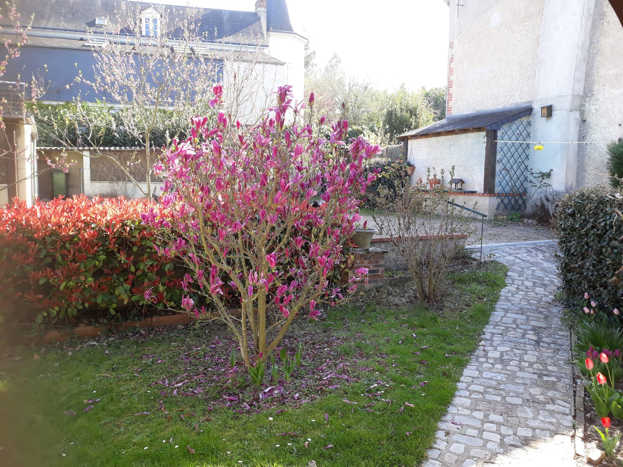 ST AVERTIN CENTRE — photo 3