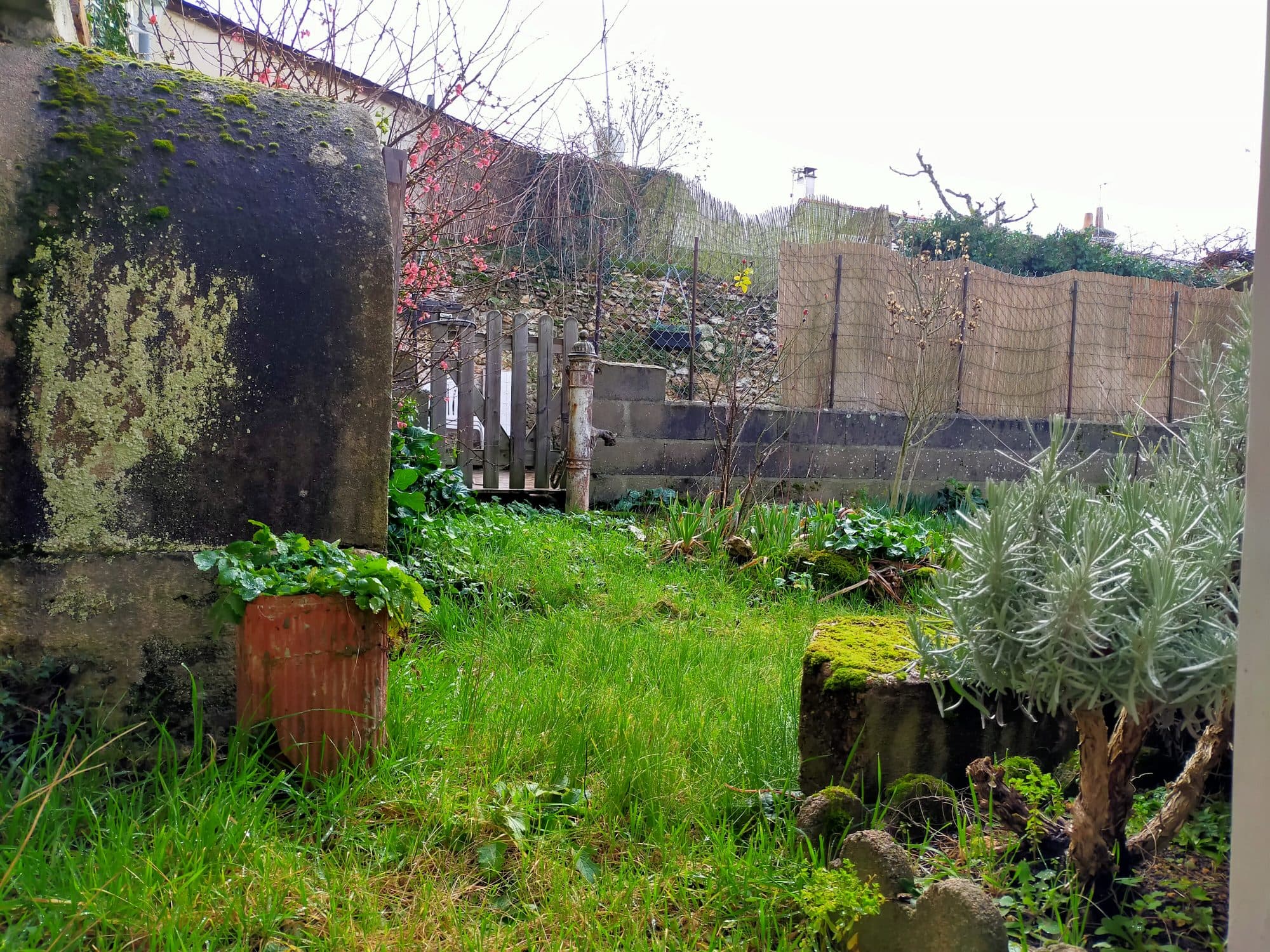 Maison 60 m² à Ballan-Miré — photo 3