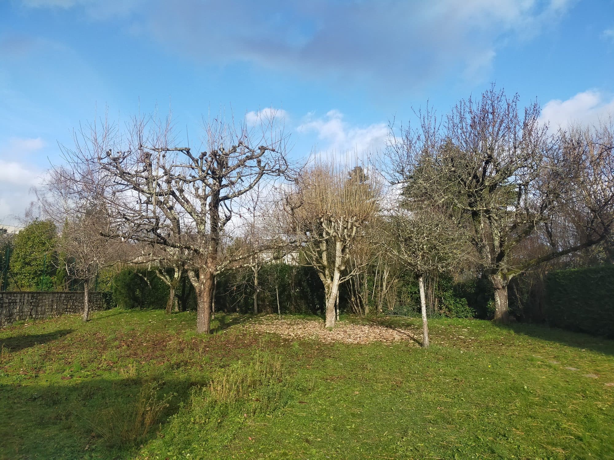 Maison 50 m² à Tours — photo 3