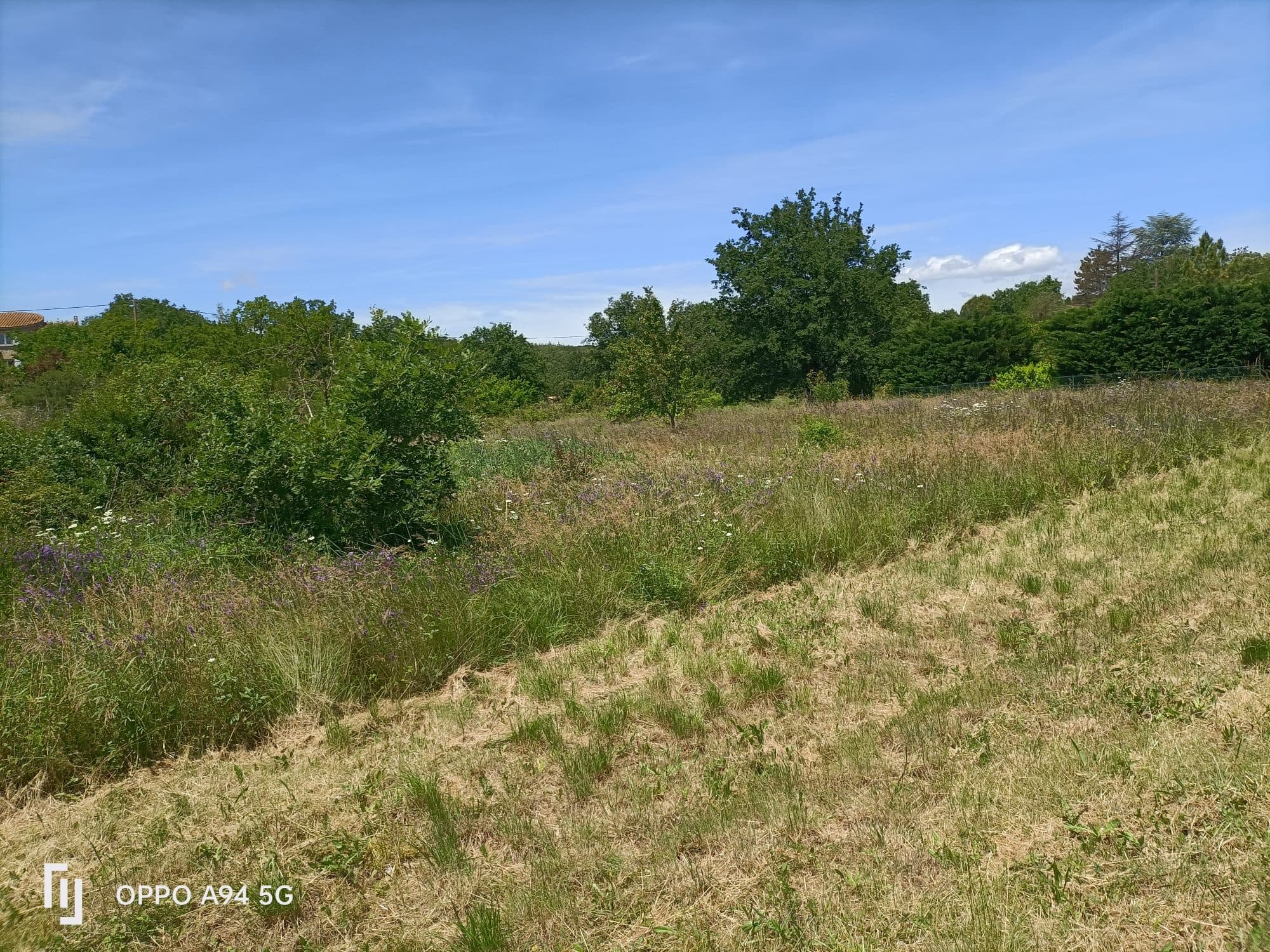 TERRAIN D'EXECPTION Proche LAVILLEDIEU — photo 2