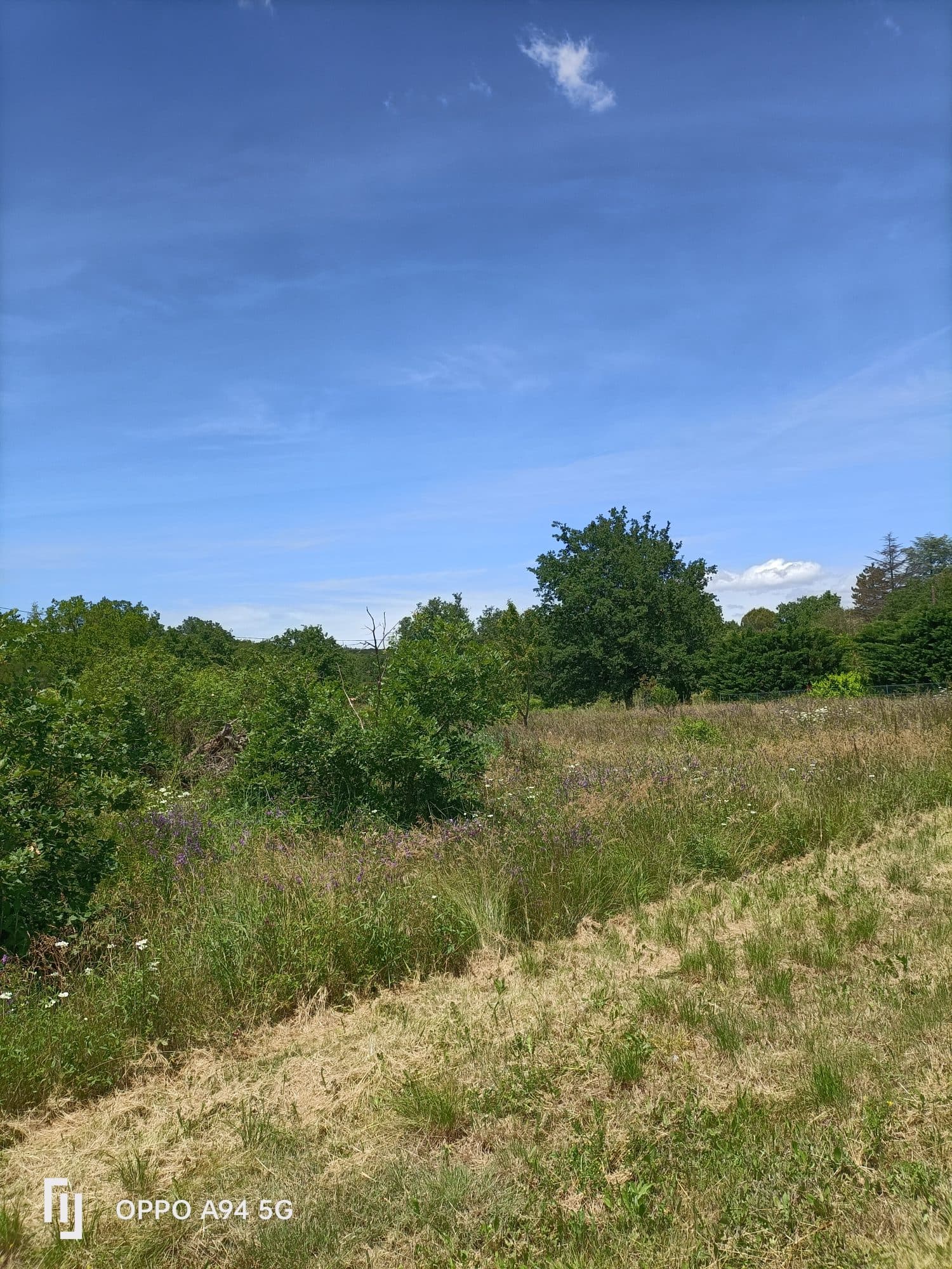 Terrain à Saint-Germain — photo 2