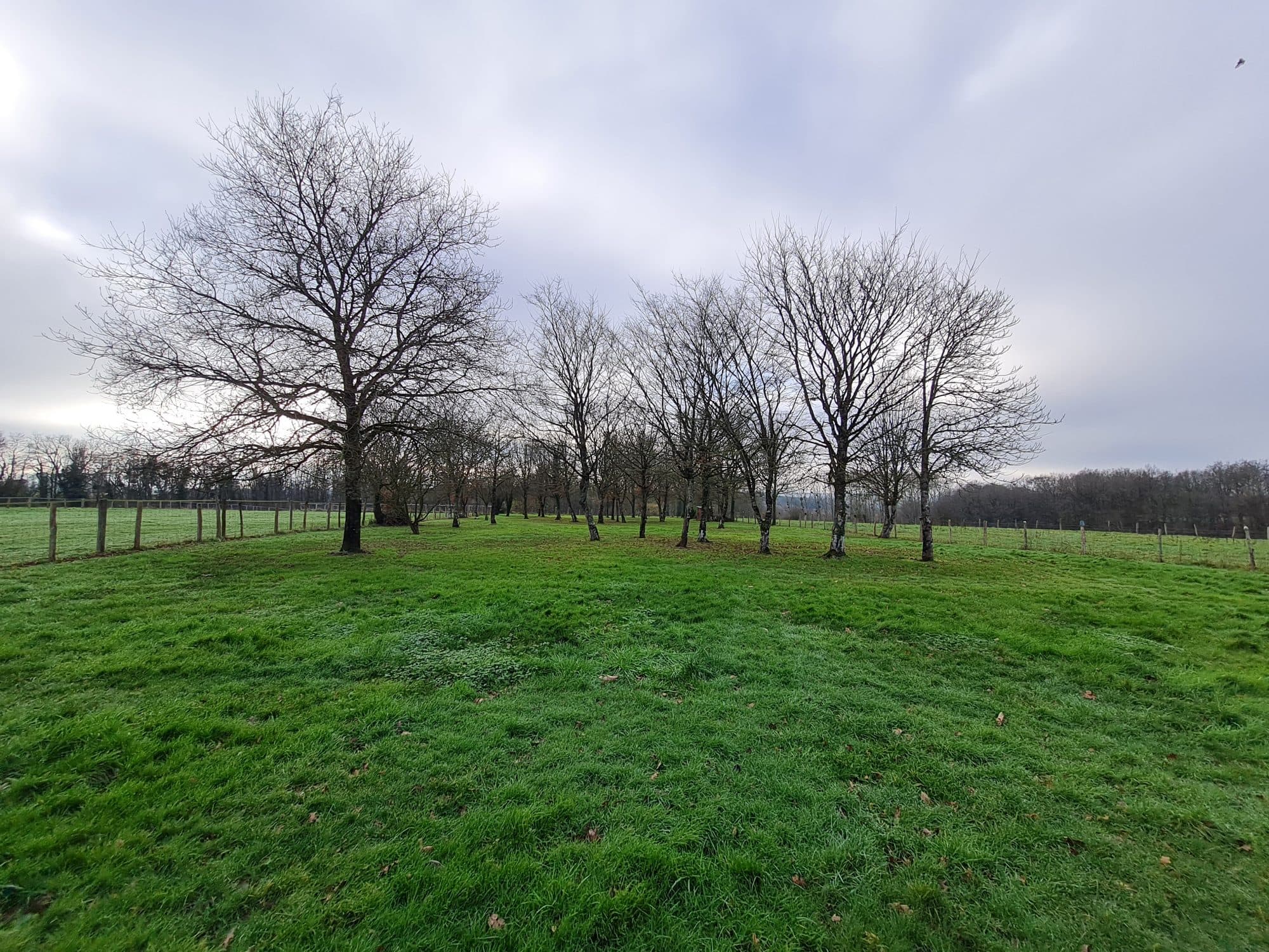 Terrain à Brèches — photo 2