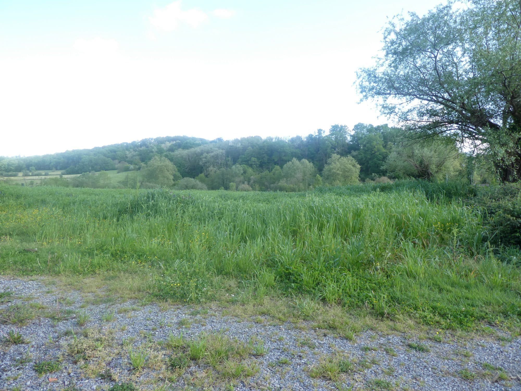Terrain à Salies-de-Béarn