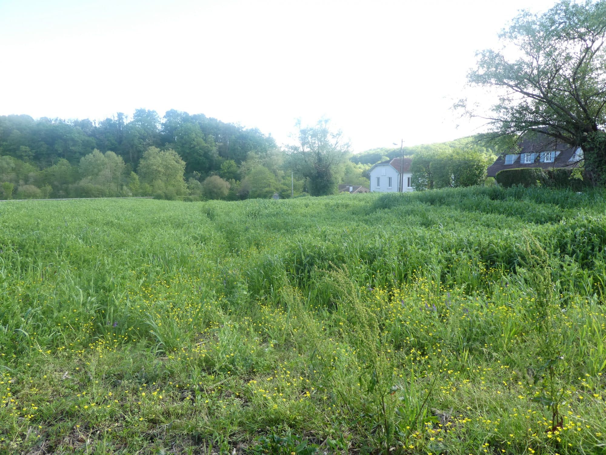 Terrain à Salies-de-Béarn — photo 2