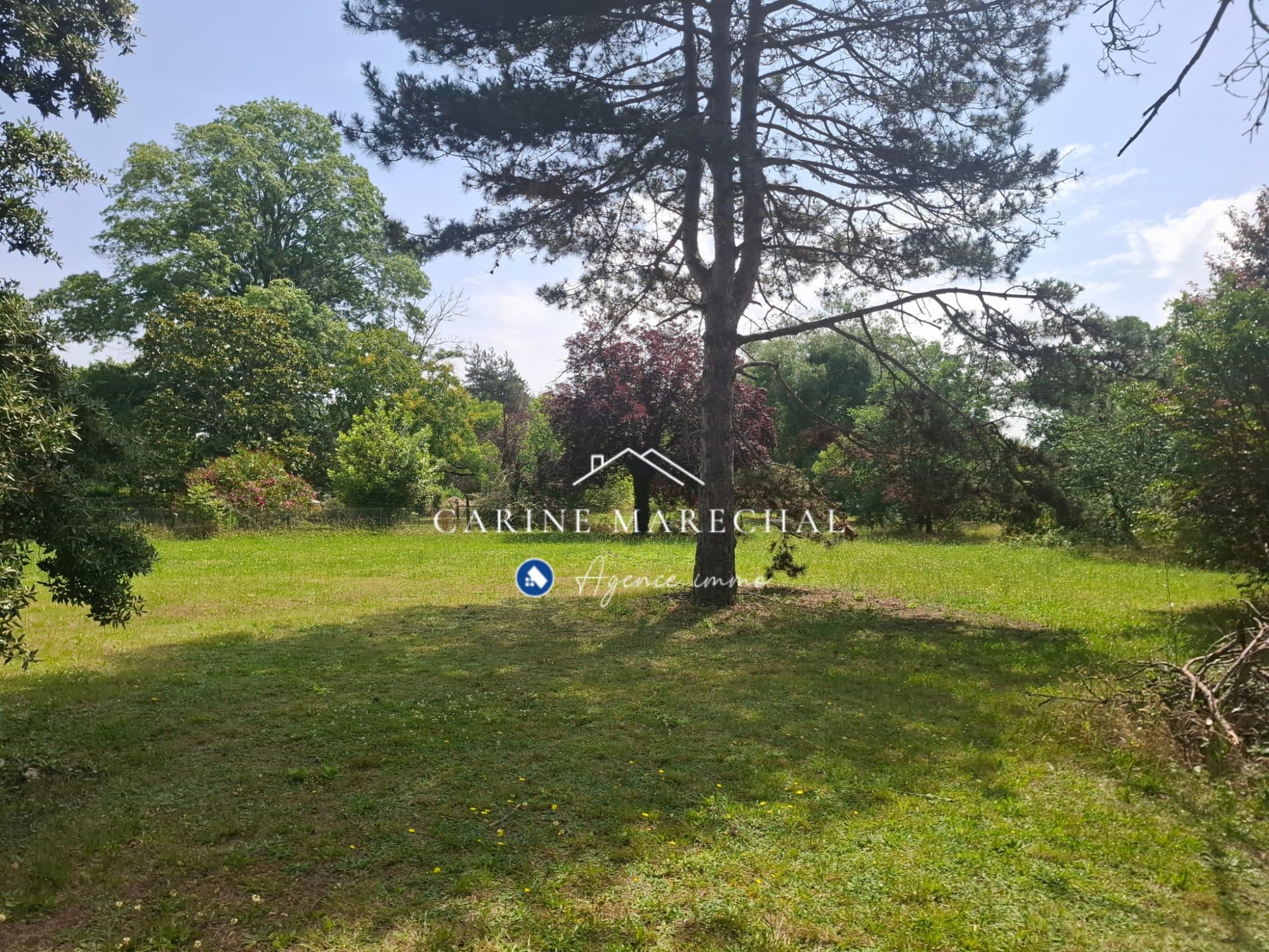 Terrain arboré 1 991 m² – 600 m² constructibles – Tournefeuille secteur La Ramée