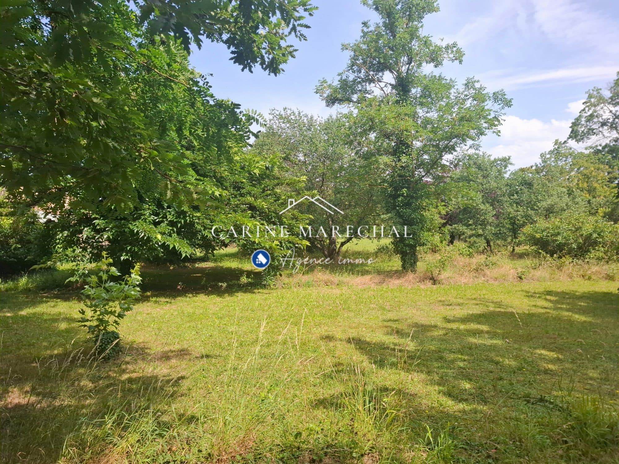 Terrain arboré 1 991 m² – 600 m² constructibles – Tournefeuille secteur La Ramée — photo 3