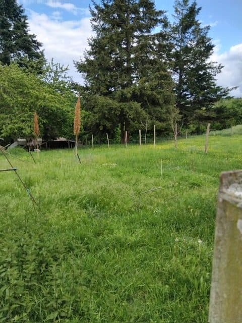 TERRAIN À CONSTRUIRE