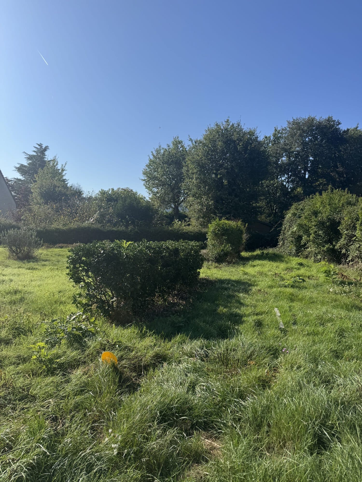 NOUVEAUTE