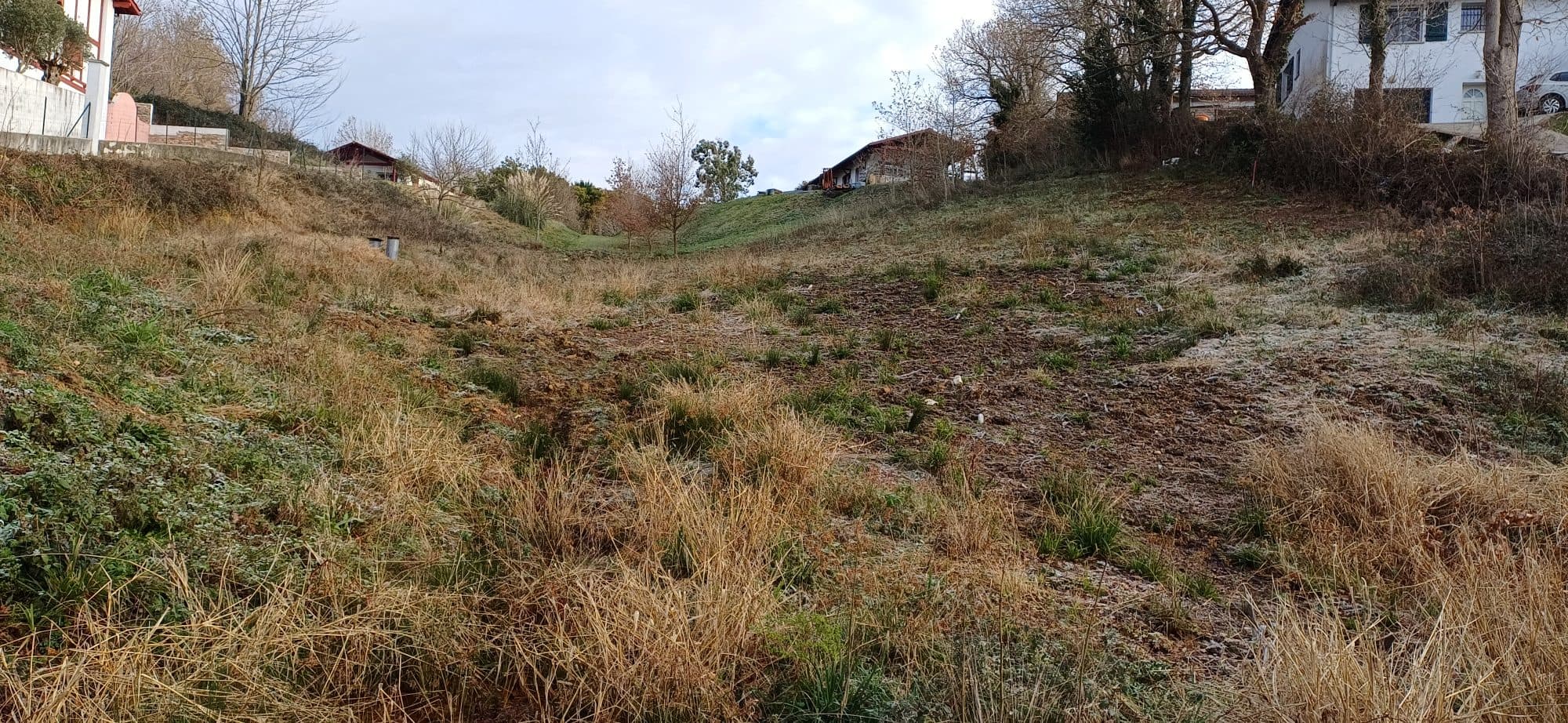 TERRAIN - IBARRON — photo 3