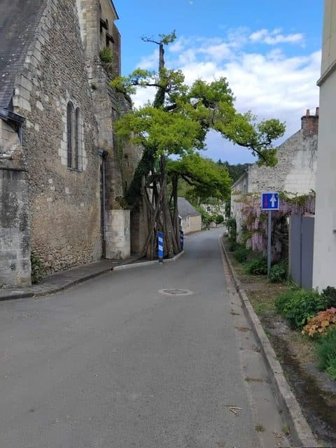 Terrain à Cheillé — photo 2