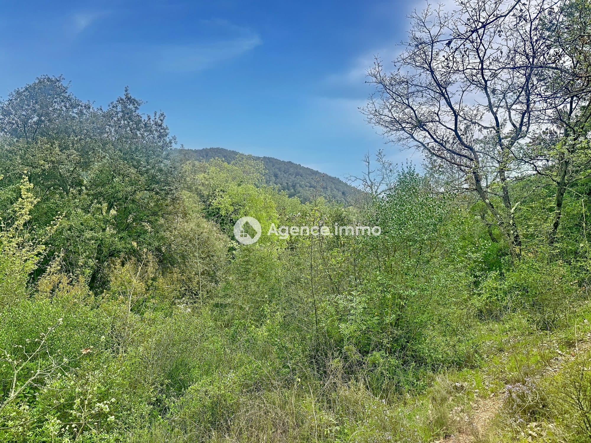 Terrain à Cabasse