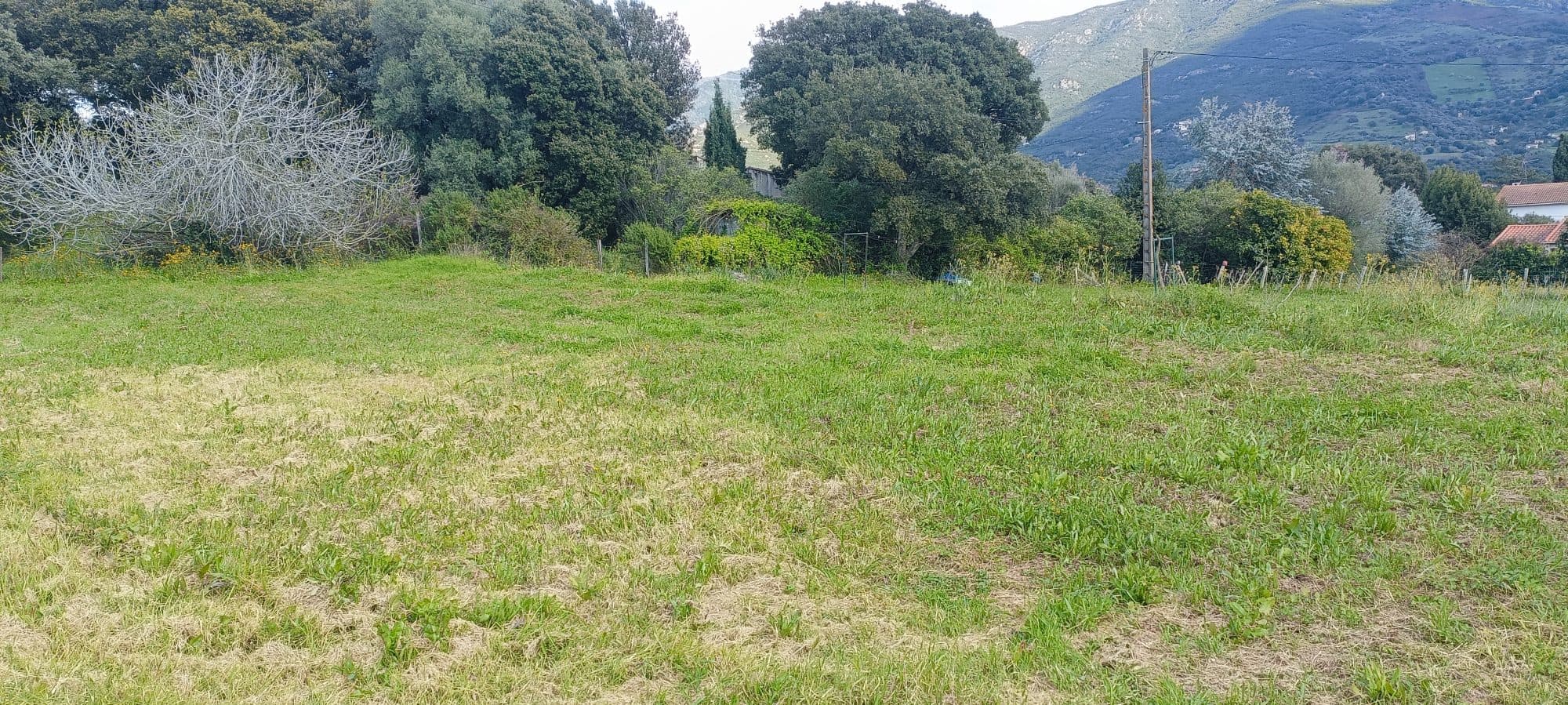 Terrain à Sarrola-Carcopino