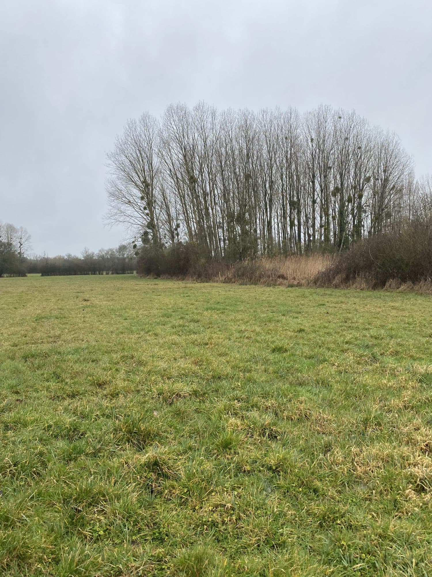Terrain à Château-la-Vallière