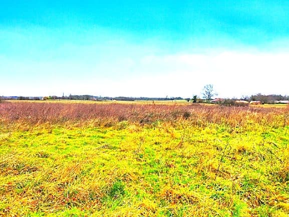 À vendre – Terrain constructible de 4 133 m² à Aire-sur-l’Adour — photo 2