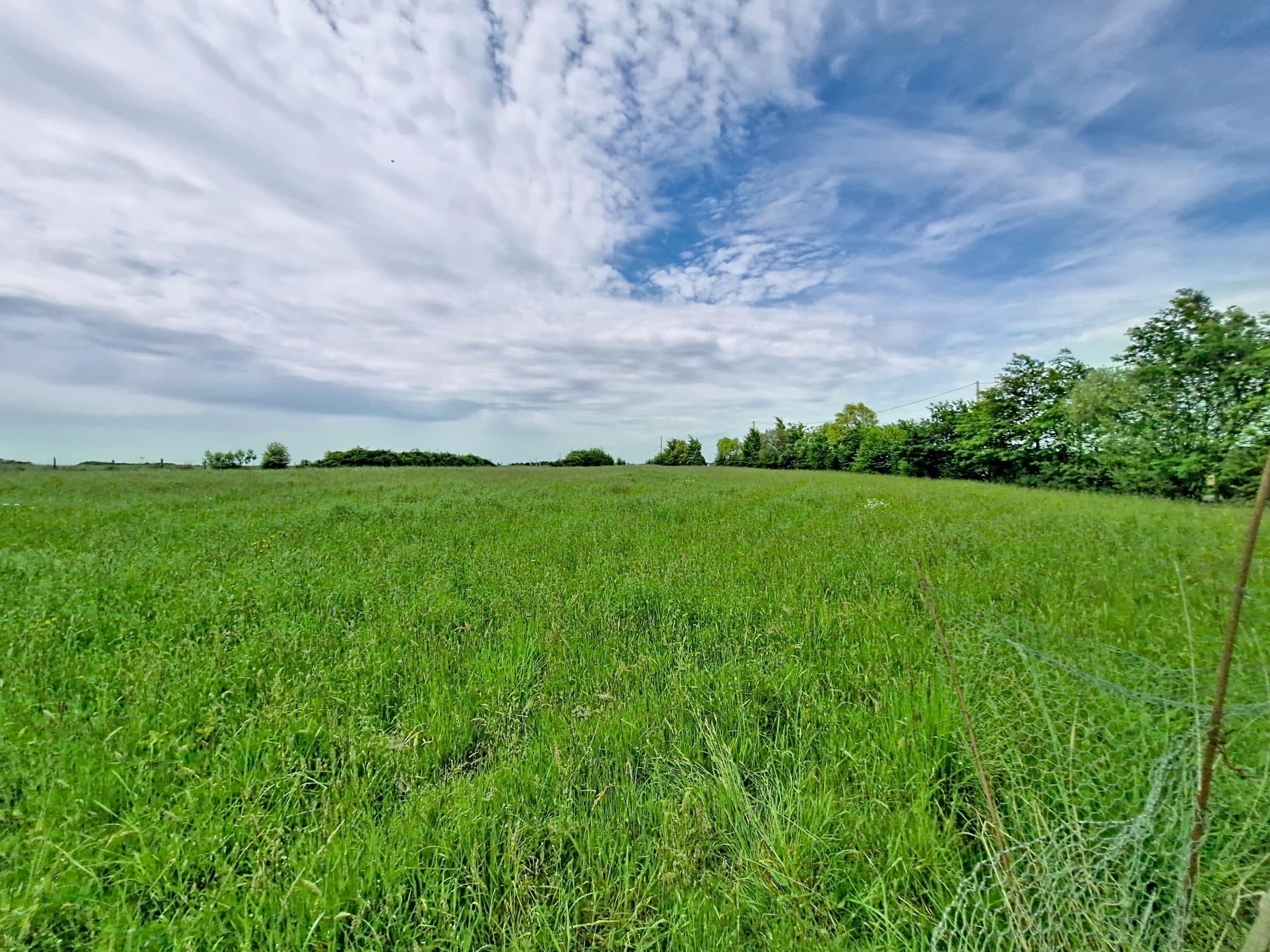 TERRAIN DE LOISIR AVEC BATI — photo 2