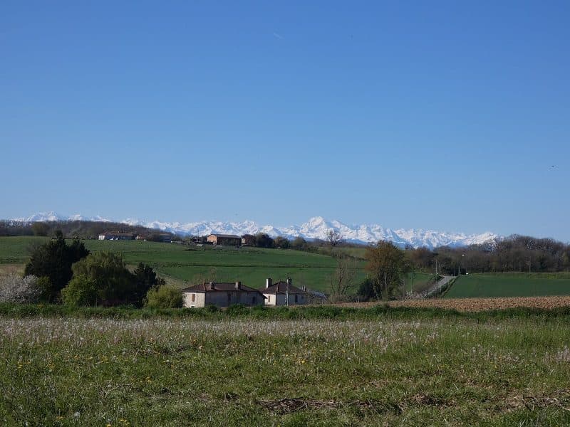 Terrain à Samaran — photo 2