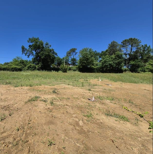 Joli Terrain — photo 3
