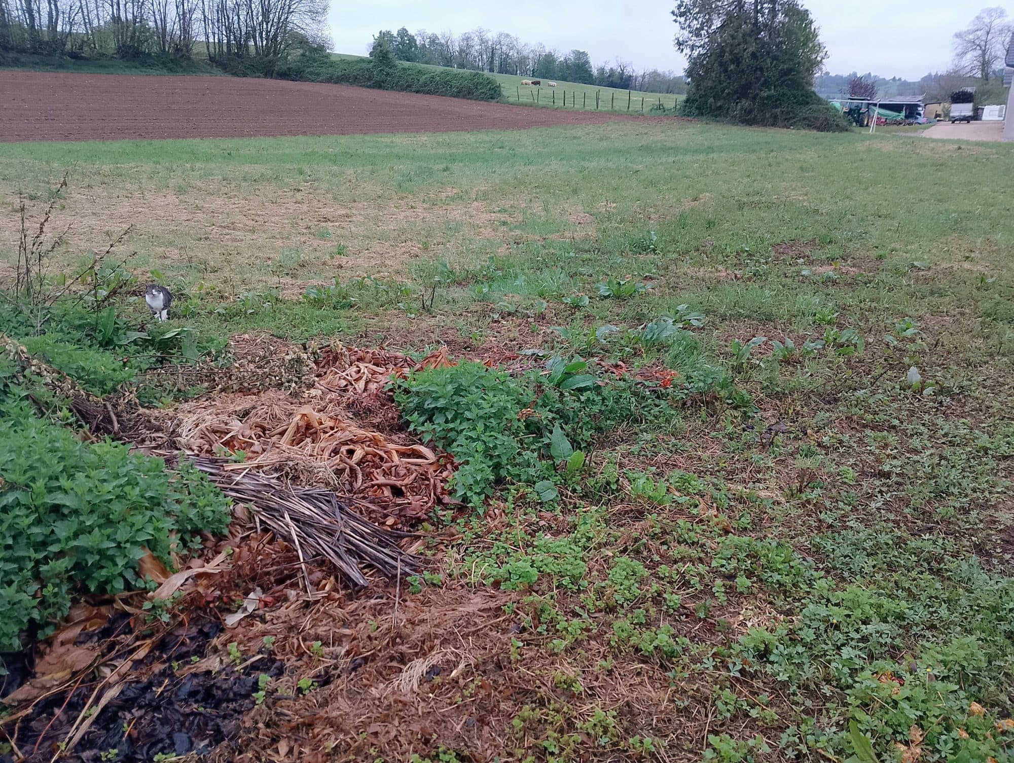 superbe terrain constructible de 800m2