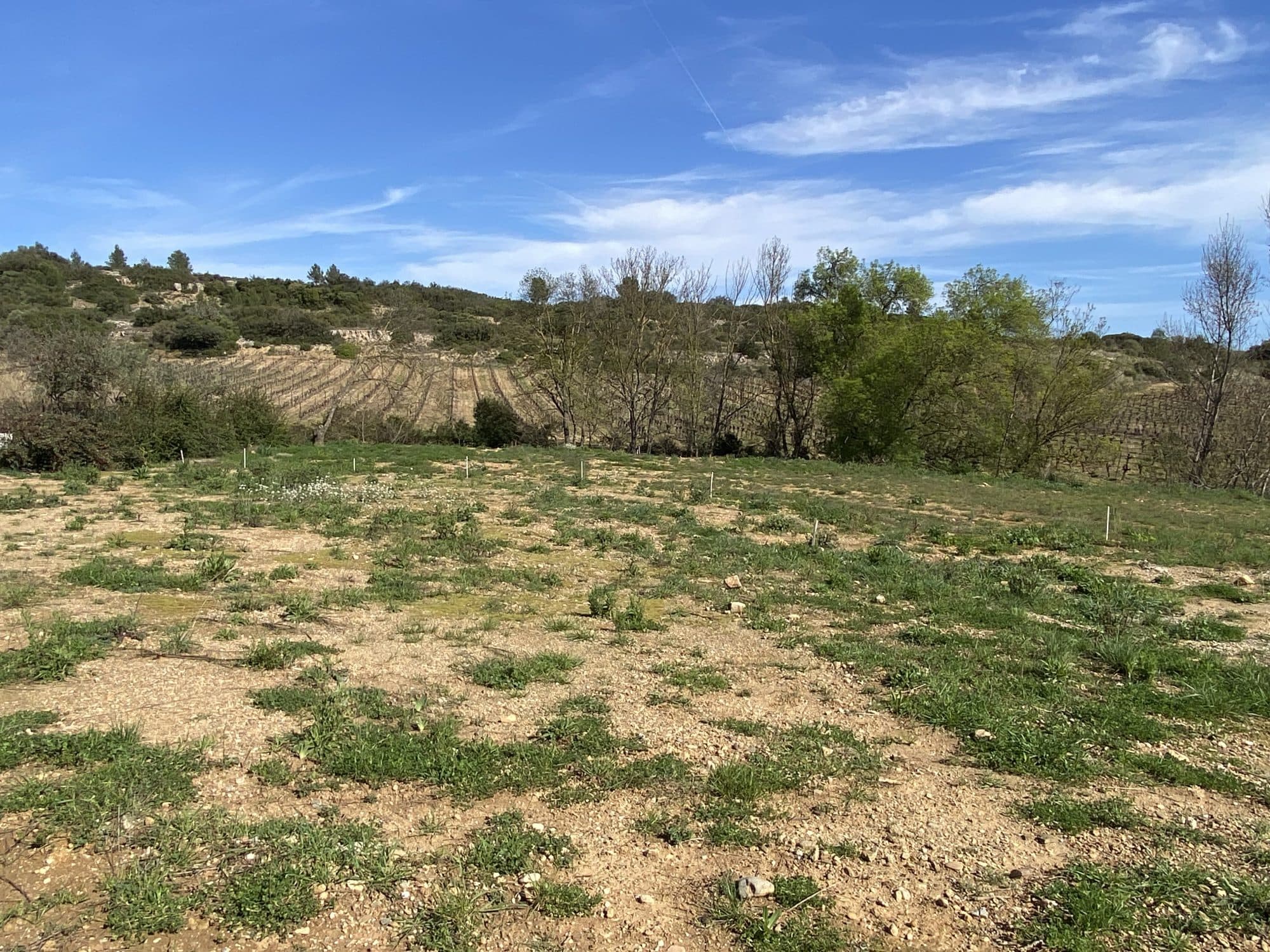 Terrain constructible viabilisé 996m2