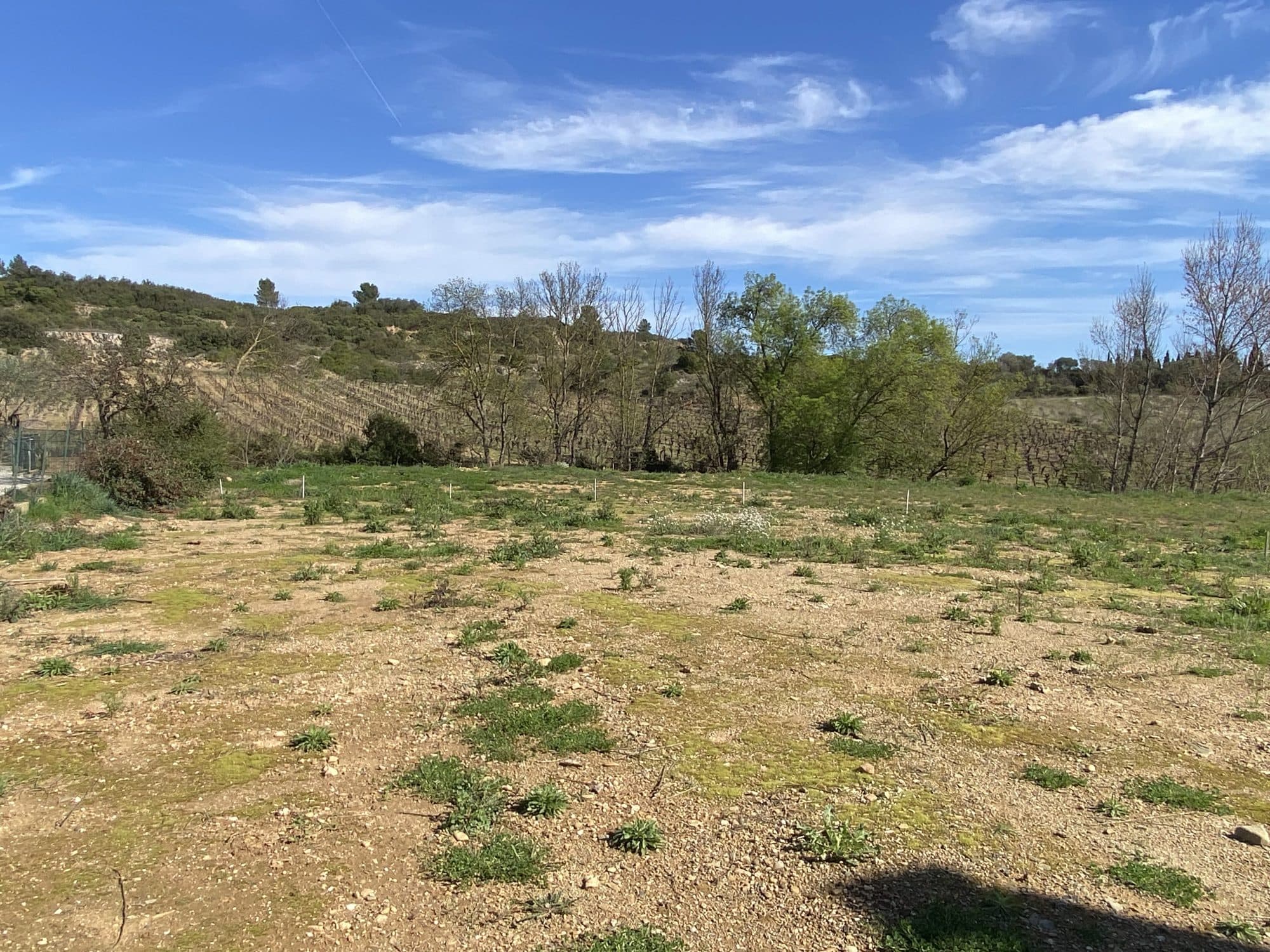 Terrain constructible viabilisé 996m2 — photo 2