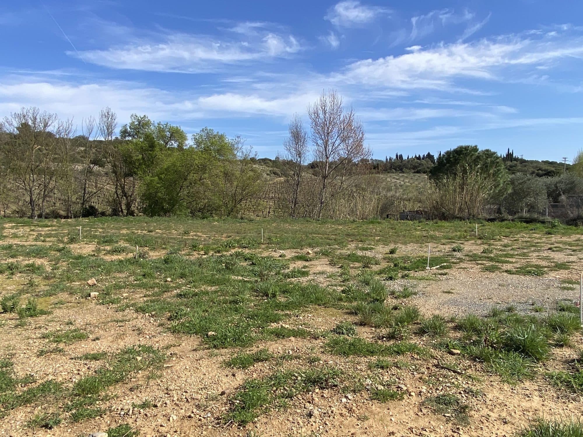 Terrain constructible viabilisé 999m2 — photo 2