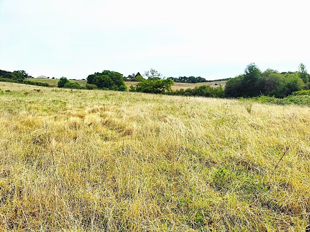 PROCHE AIGNAN (32) PROPRIETE AGRICOLE 27 Ha AVEC BATIMENTS et HABITATION — photo 3