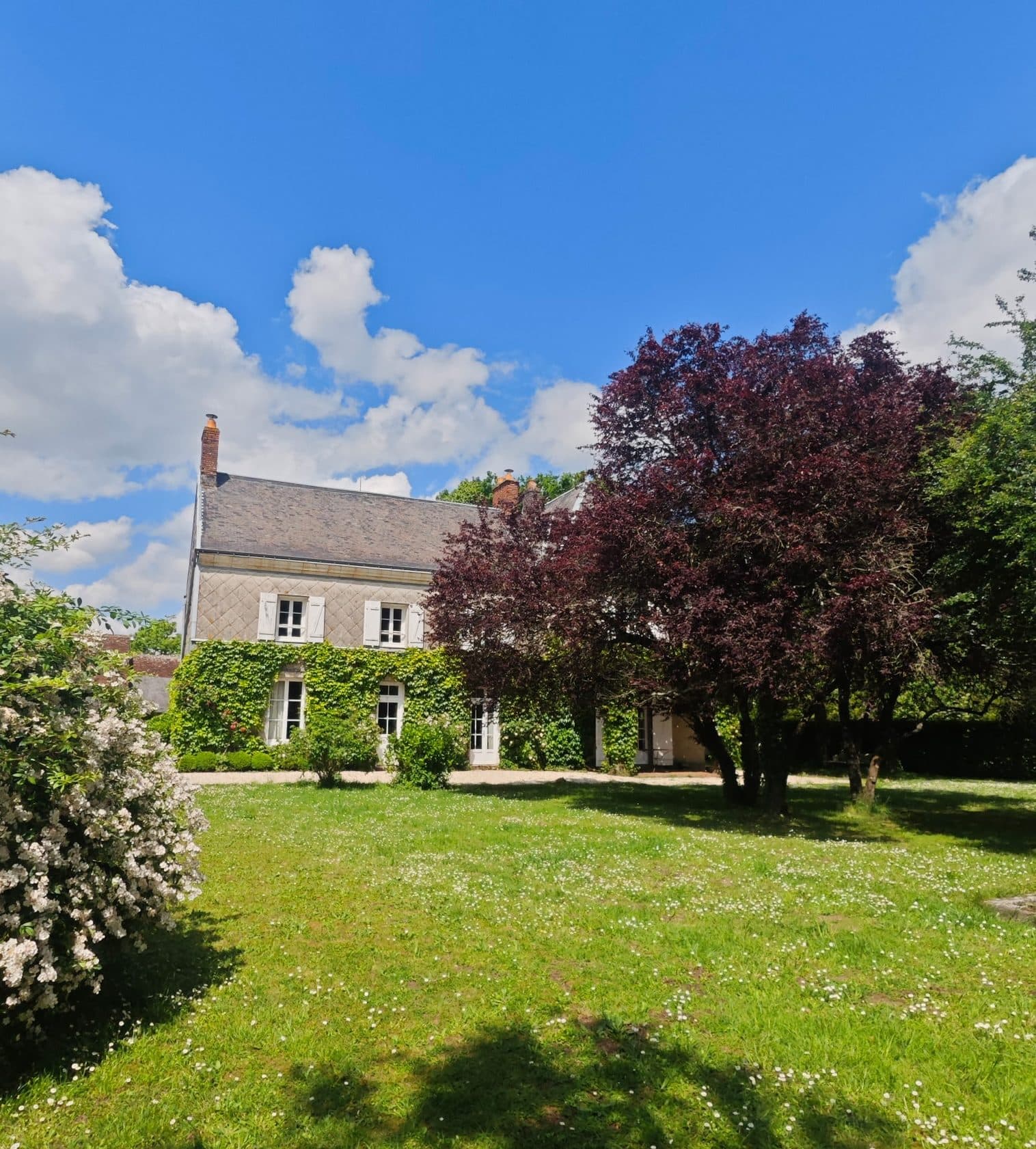 maison de maitre et ses dépendences :425 m2 sur 15600 M2 — photo 2